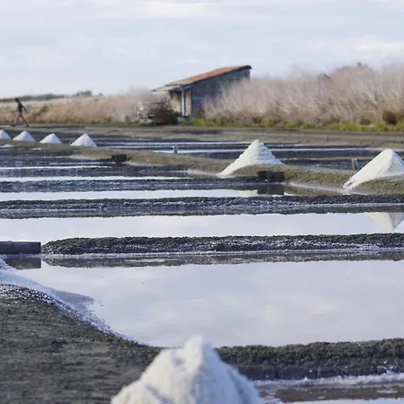 800m De La Plage, Maison Pour 7 Avec Jardin