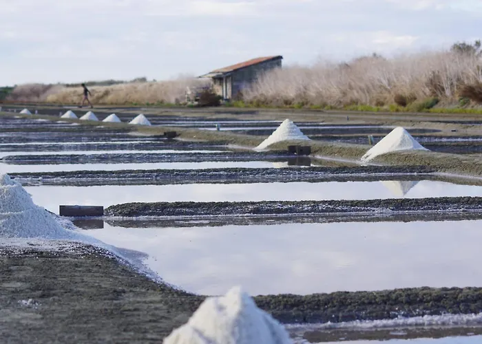 800m De La Plage, Maison Pour 7 Avec Jardin
